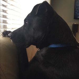 Meet your Posher, Amber